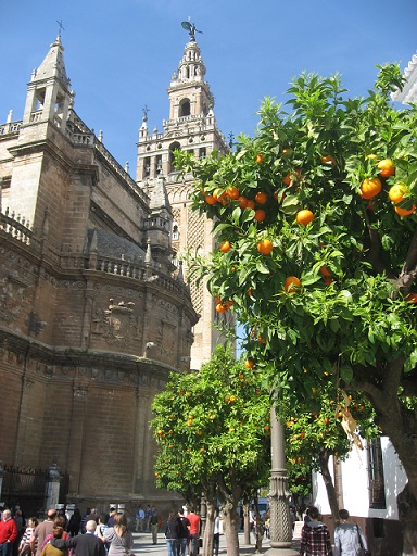 Cathedral and Giralda Sevilla Espana