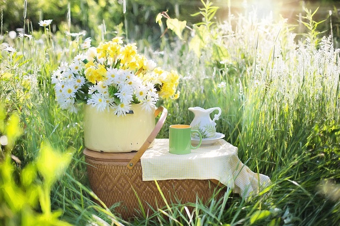 A basket with some coffee served on in the middle of a field of daisies.